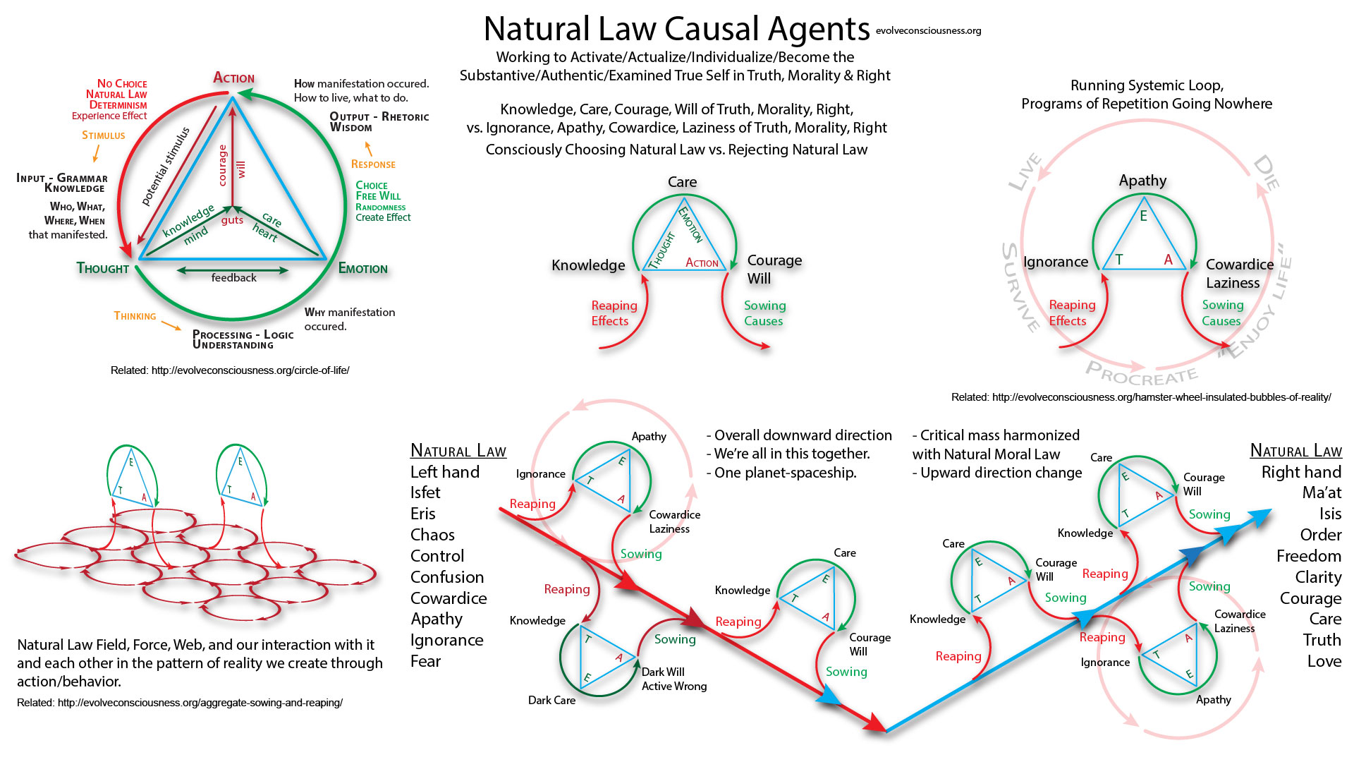 Natural-Law-Causal-Agents